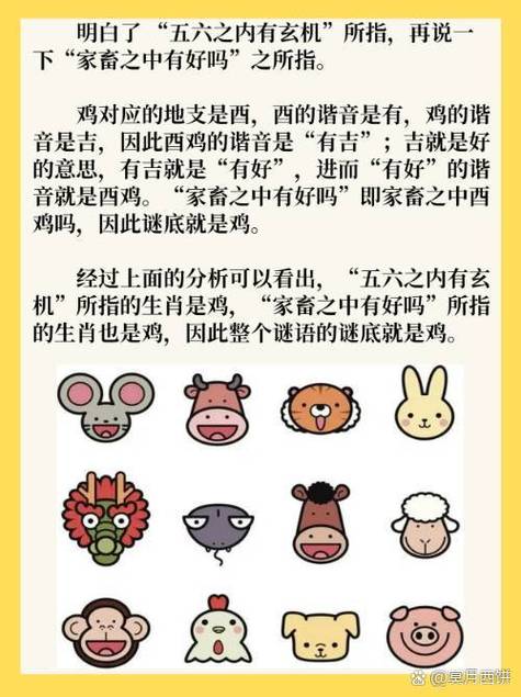 五六七中定玄机打一数字、五六中特是什么意思和指什么生肖和动物
