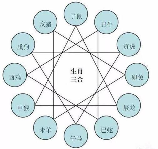 “完美无瑕”打一生肖是什么的简单介绍