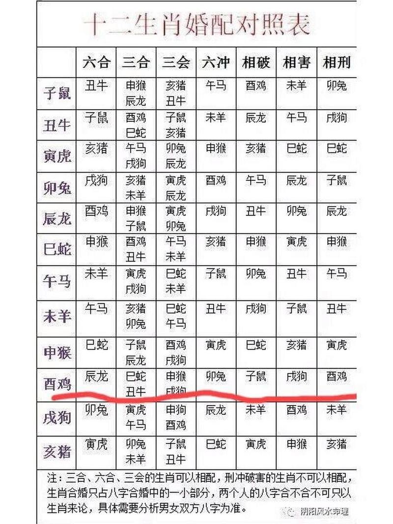 91年属什么生肖最佳婚配、1991年属什么生肖最佳婚配