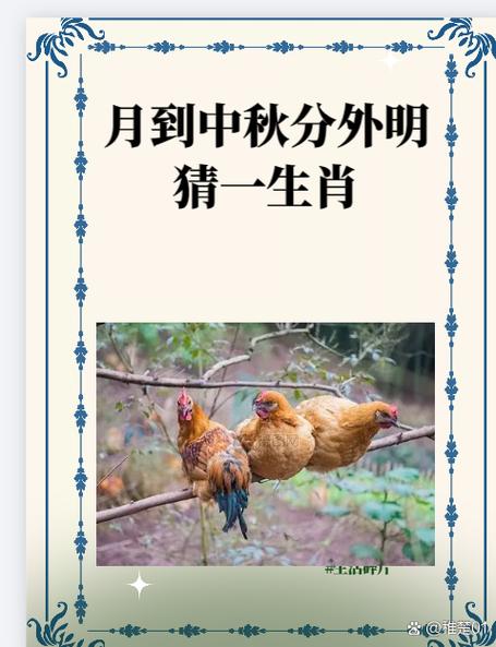 ?打一生肖、打一生肖的正确答案