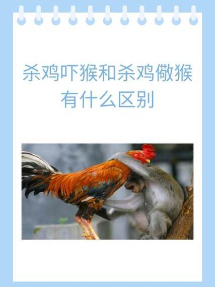 杀鸡儆猴打一生肖的正确答案、杀鸡儆猴打一生肖正确答案2024