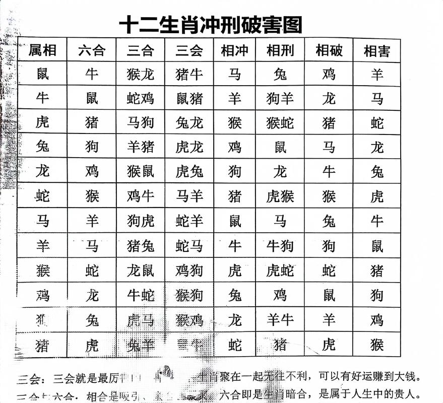 什么生肖跟什么生肖对冲呢、什么生肖跟什么生肖对冲呢图片