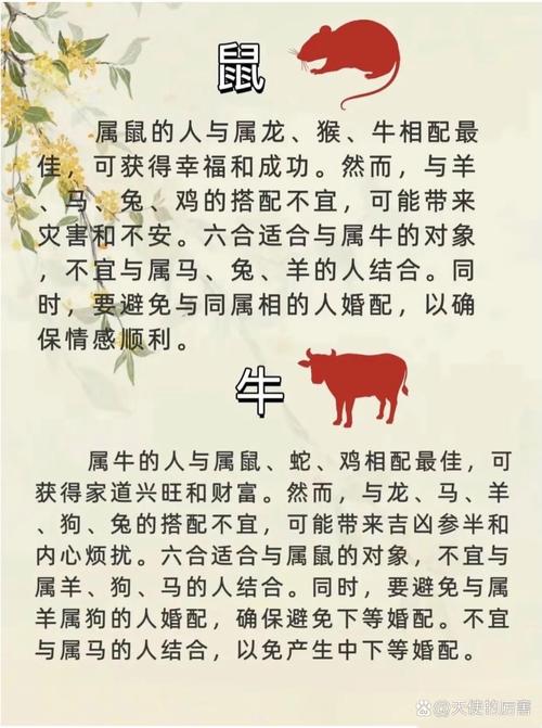 猪同什么生肖婚配最好、猪跟什么生肖最配做夫妻