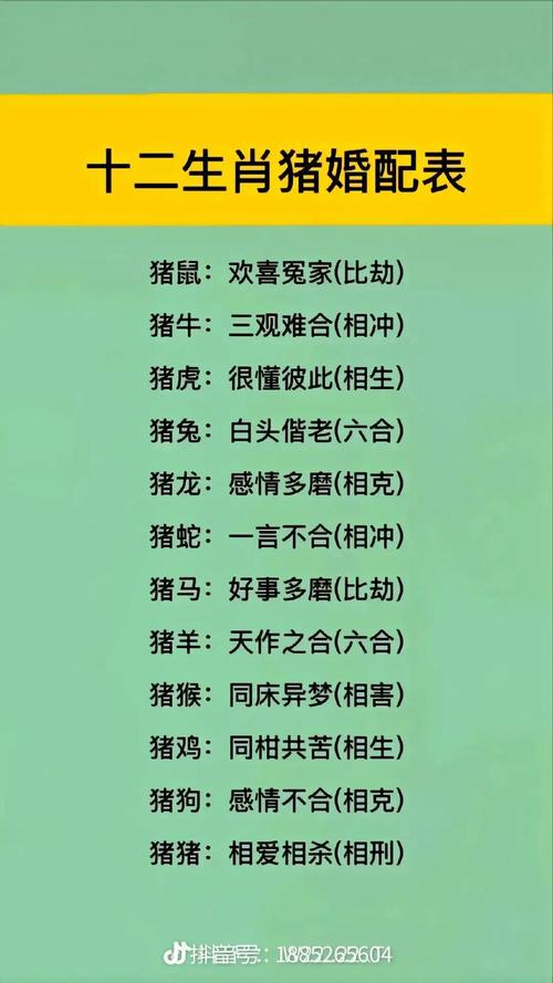 今期就看小数号打生肖、今期就看小数号蛇猪虎肖有参考