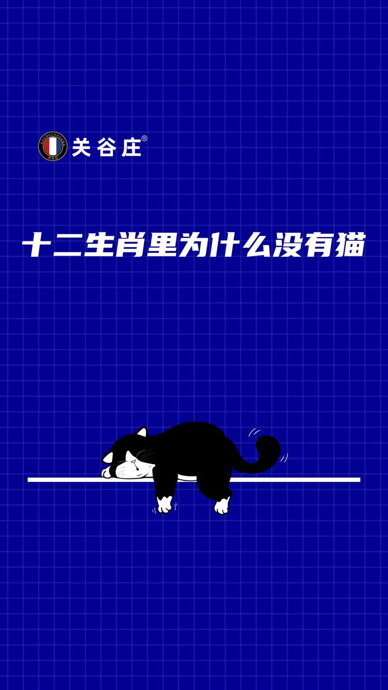 关于“可爱猫猫”打一正确的生肖的信息