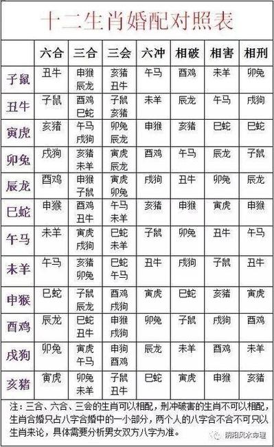94年属什么生肖配对最好、94年属什么生肖配对最好女