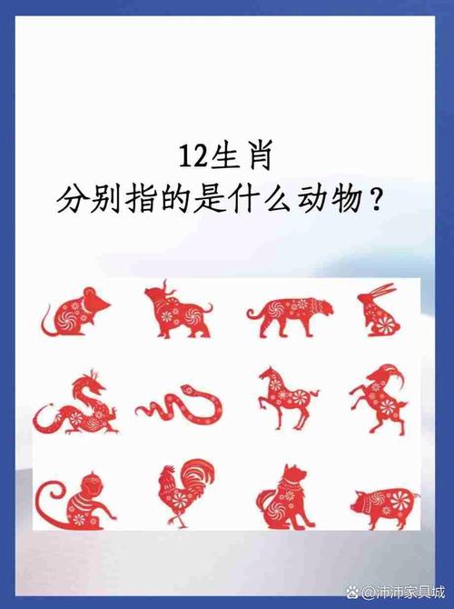 摸打一生肖动物、摸字打一生肖是什么动物