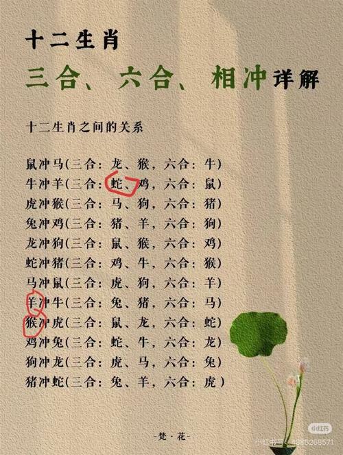 关于虚名在外是什么生肖打一生肖的信息