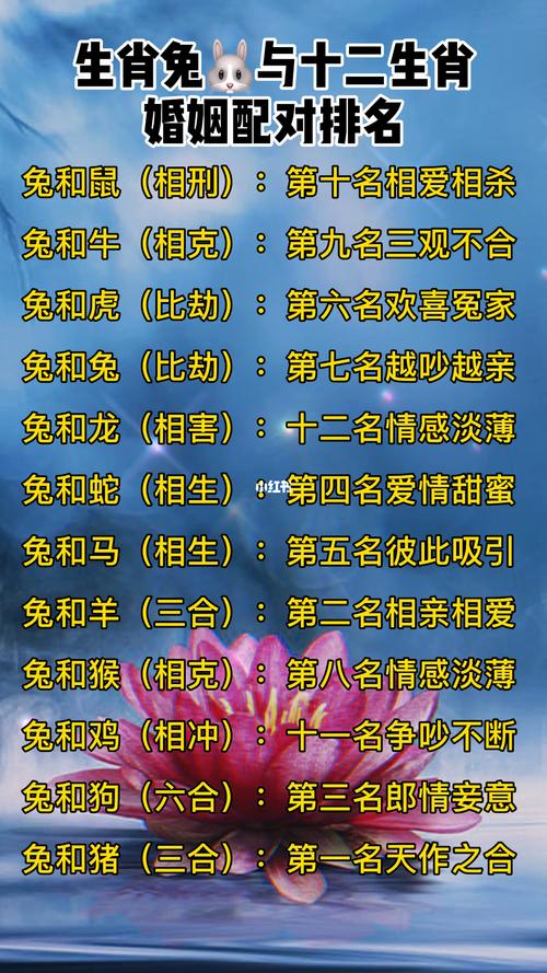 最佳答案打一生肖答案、最佳搭配在十二生肖里指的是什么