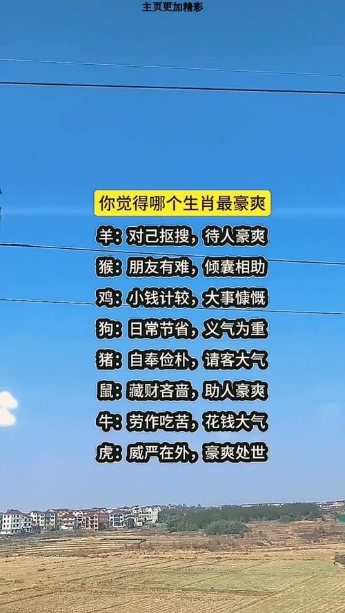 什么生肖豪爽大气、什么生肖豪爽大气的动物