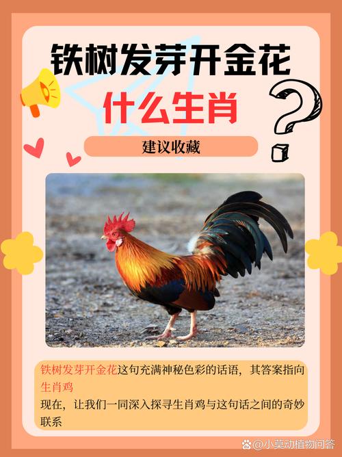 开红花打是什么生肖、开红花是什么生肖代表
