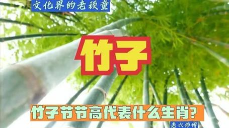 竹子生来节节高是什么生肖开红花、竹子生来节节高代表十二生肖中哪一个动物