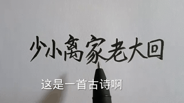 少小离家白发回打一生肖、少小离家白发回代表什么动物