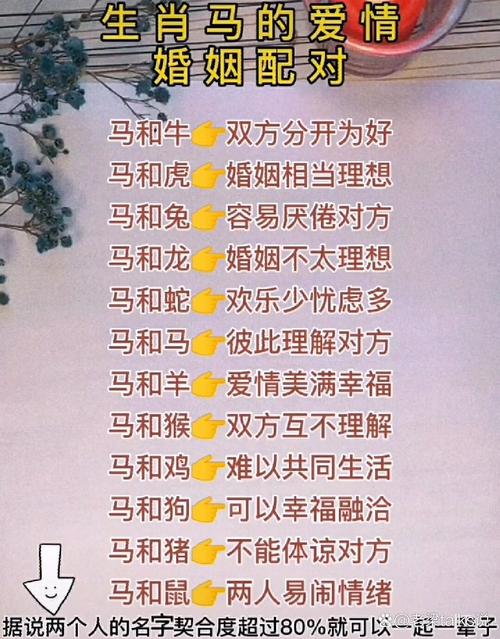什么生肖和马最配对、什么生肖和马最合得来
