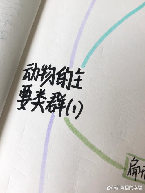 关于最正确答案打一动物数字图的信息