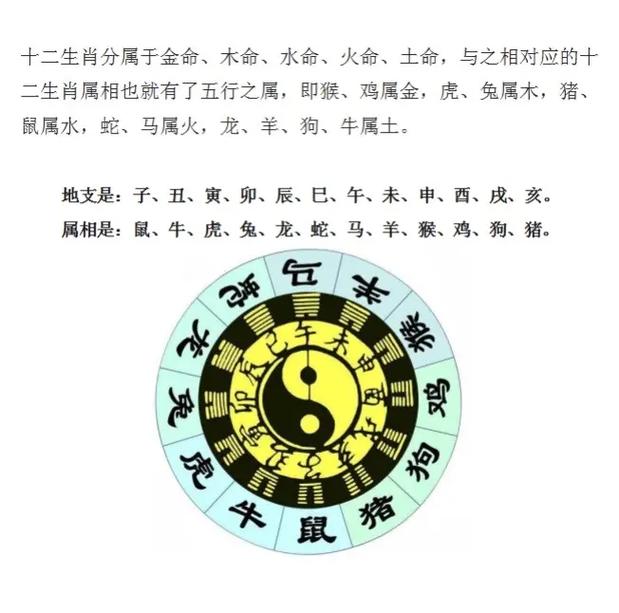 最长寿的生肖是指什么生肖、最长寿的生肖是指什么生肖和动物
