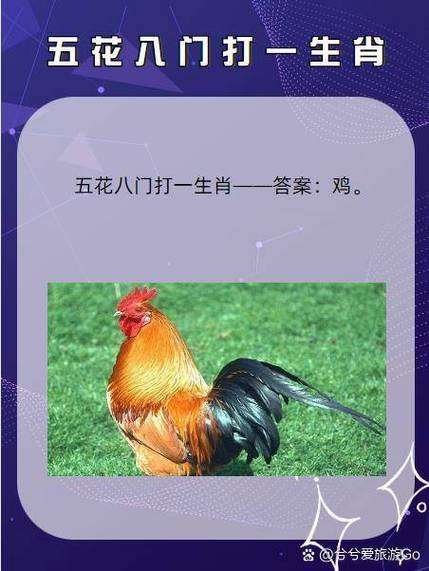 包含应天顺时是什么生肖准确答案的词条