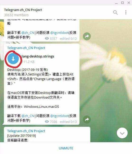 telegram必备搜索神器[Telegram里搜什么关键词]