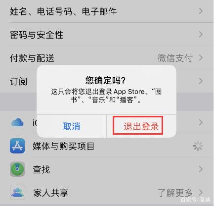 苹果手机下载skype为什么不能登录了[苹果手机下载skype为什么不能登录了怎么回事]