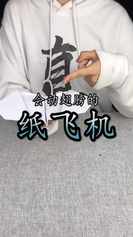 纸飞机中文版下载教程的简单介绍