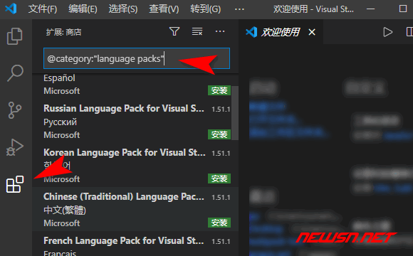 纸飞机中文语言包输入什么[纸飞机怎么弄中文要输入什么]