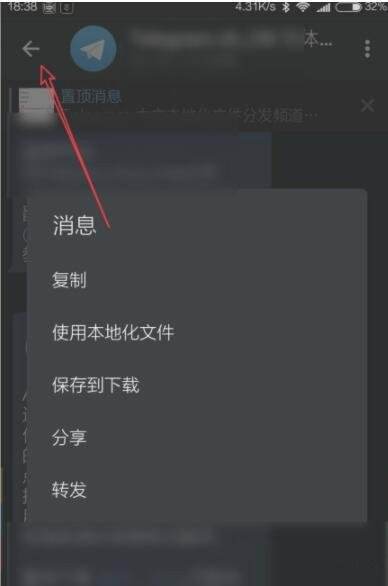 telegreat手机下载官网[telegreat中文版下载最新版]
