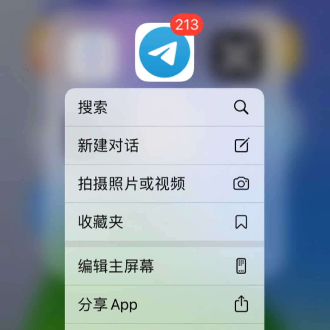 飞机聊天软件苹果下载[飞机聊天软件苹果下载安卓]
