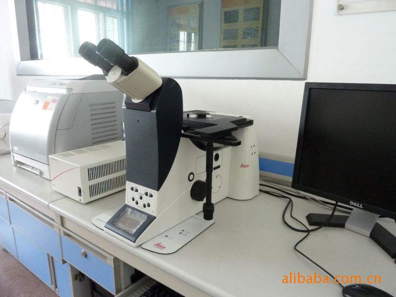 包含microscope怎么记忆的词条
