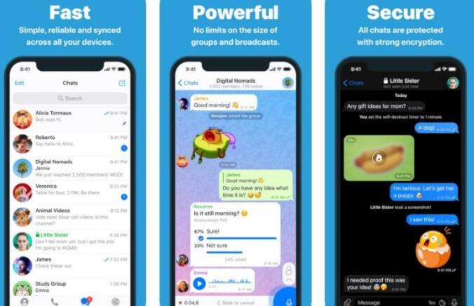关于telegram小视频分享组的信息