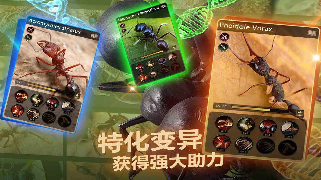 [telegreat国际版下载]telegreat中文版下载官网