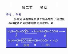 successor和inheritor的区别的简单介绍