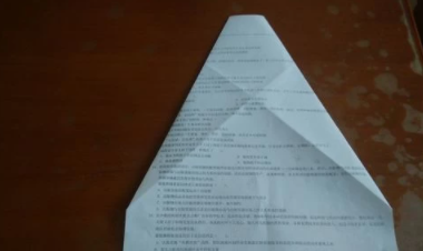 [如何使用纸飞机]国内如何使用纸飞机