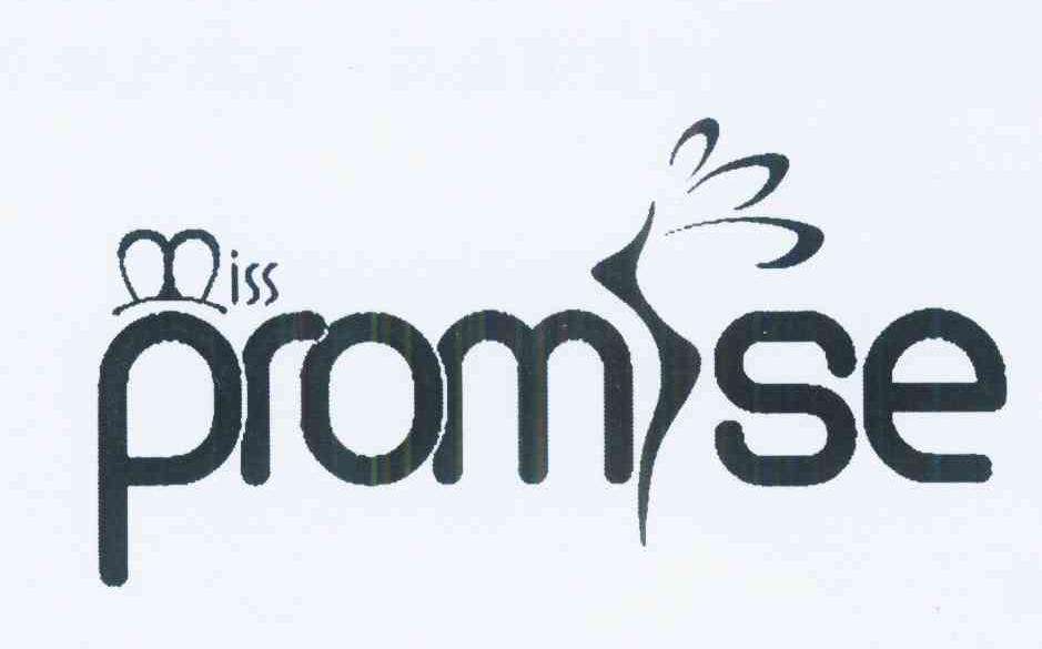 [promise]promise sb to do