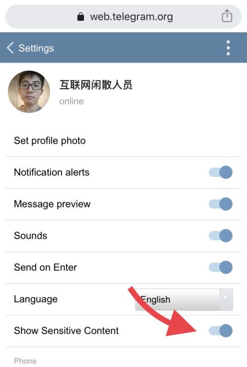 Telegramapp怎么搜索频道的简单介绍