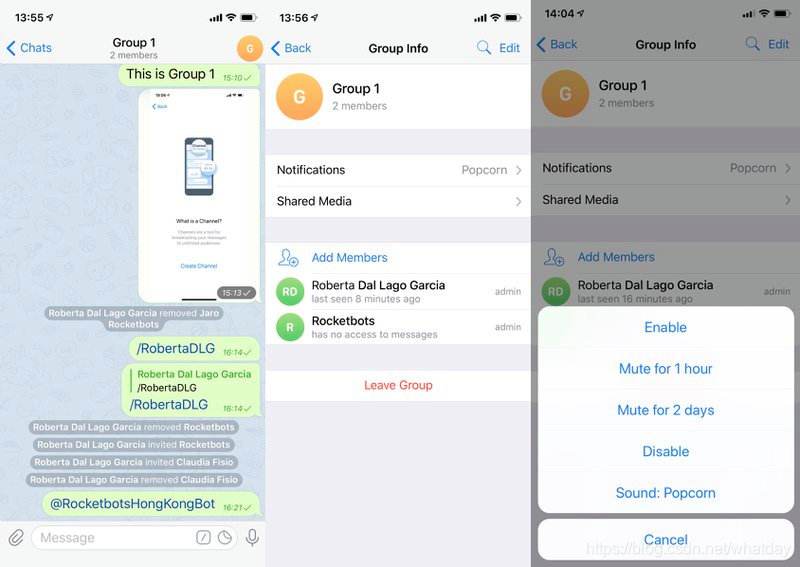 关于Telegram搜索频道无结果的信息