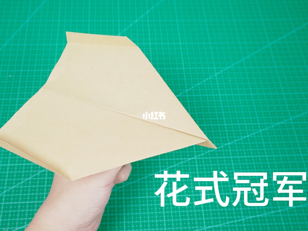 [纸飞机2022最新版]2021最火仿真纸飞机