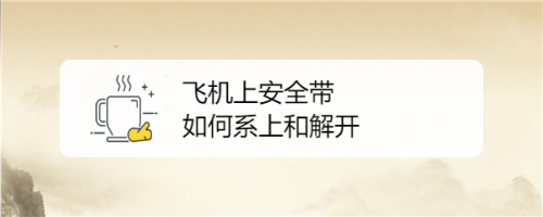 [飞机安全聊天软件有哪些]飞机安全聊天软件有哪些好用