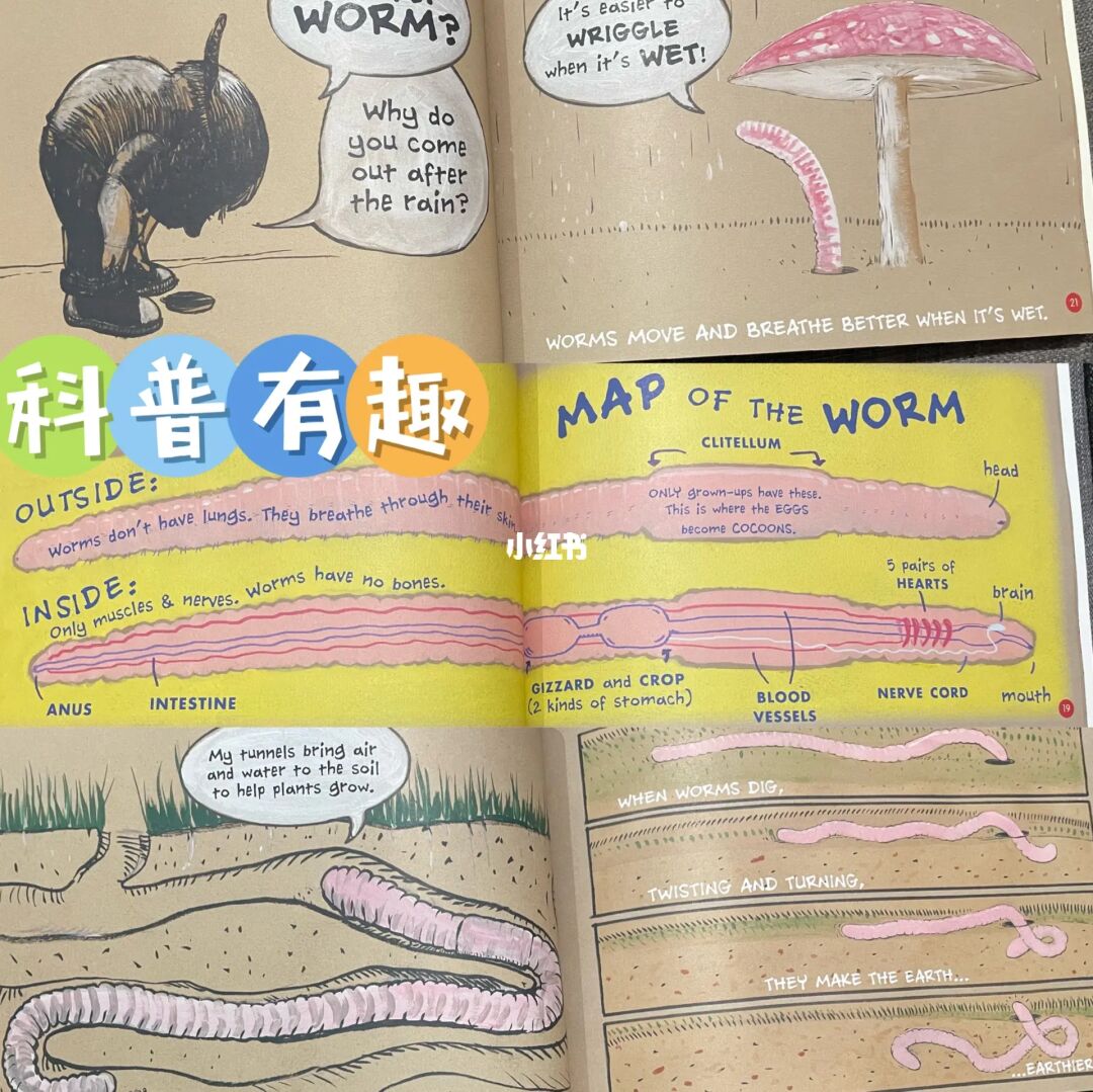 [holes的意思]holes的意思中文
