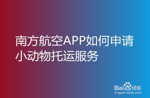 [飞机APP怎么注册账号]简单飞机手机版怎么注册账号