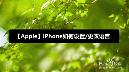 [telegreat苹果中文怎么设置]telegreat苹果中文怎么设置2021