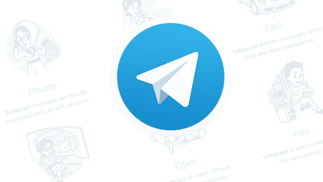 关于Telegram(纸飞机):@ggzhaozu的信息
