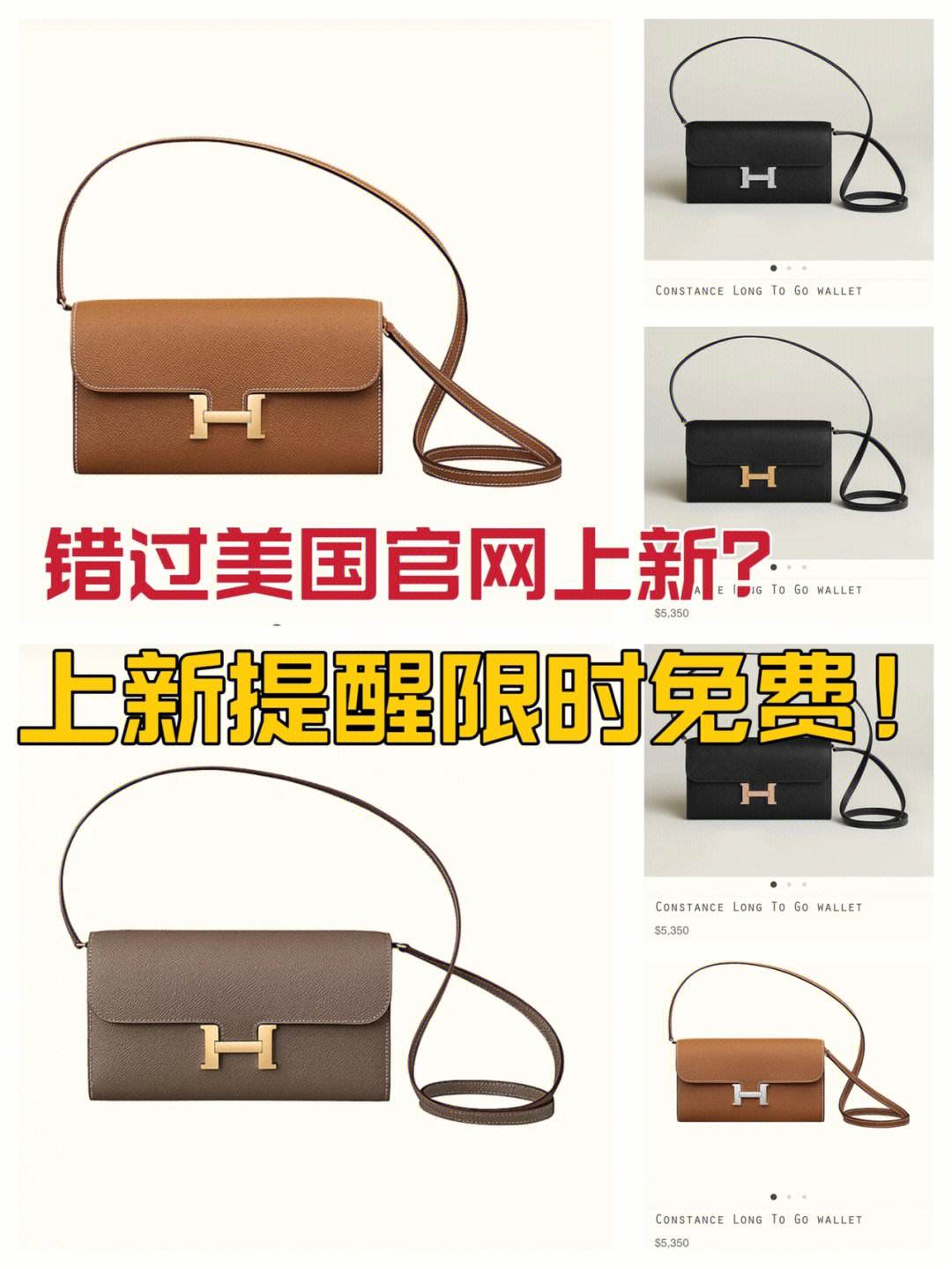 TG官网-telegraph官网入口