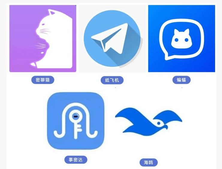 纸飞机社交app下载-纸飞机app聊天软件下载