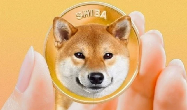 柴犬币暴涨28万倍-2025未来4种暴涨的币