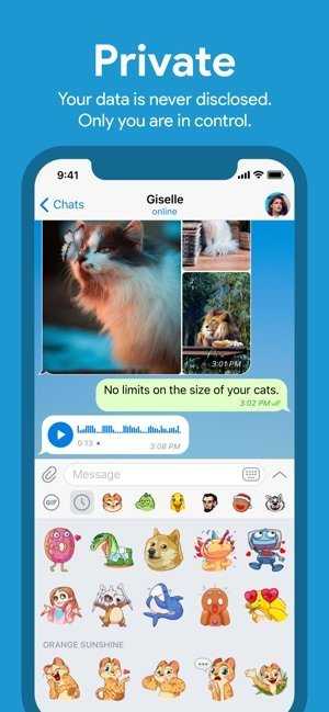 telegreatm-telegreat没有中文选项