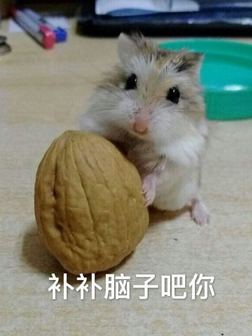 电报员口吐芬芳原声-一开口就是老电报员了