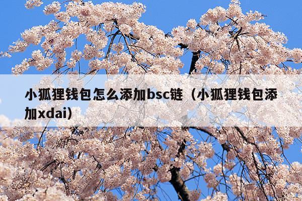 小狐狸钱包app官网最新版本-小狐狸钱包app官网最新版本591