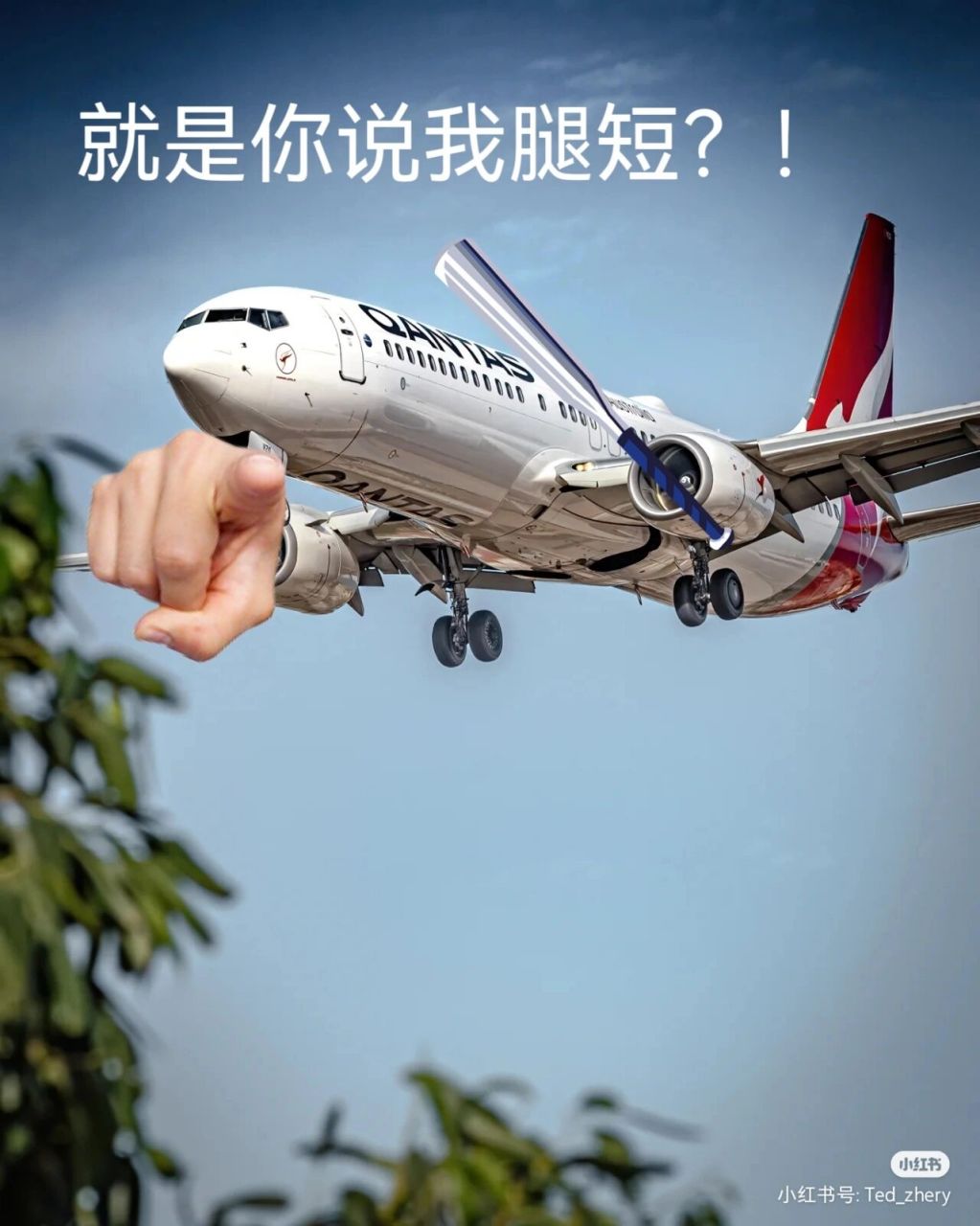 飞机中文语言包链接-飞机怎么设置中文语音包