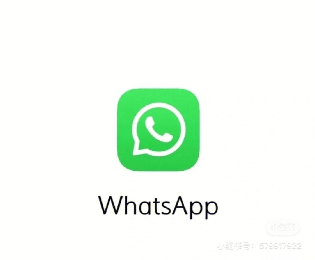 whatsapp下载-whatsapp下载不了图片,能聊天