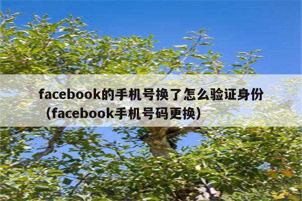 book收不到验证码-book收不到验证码什么原因